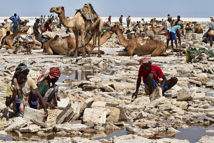  Hard work by the saltworkers on Lake Asale   Ethiopia